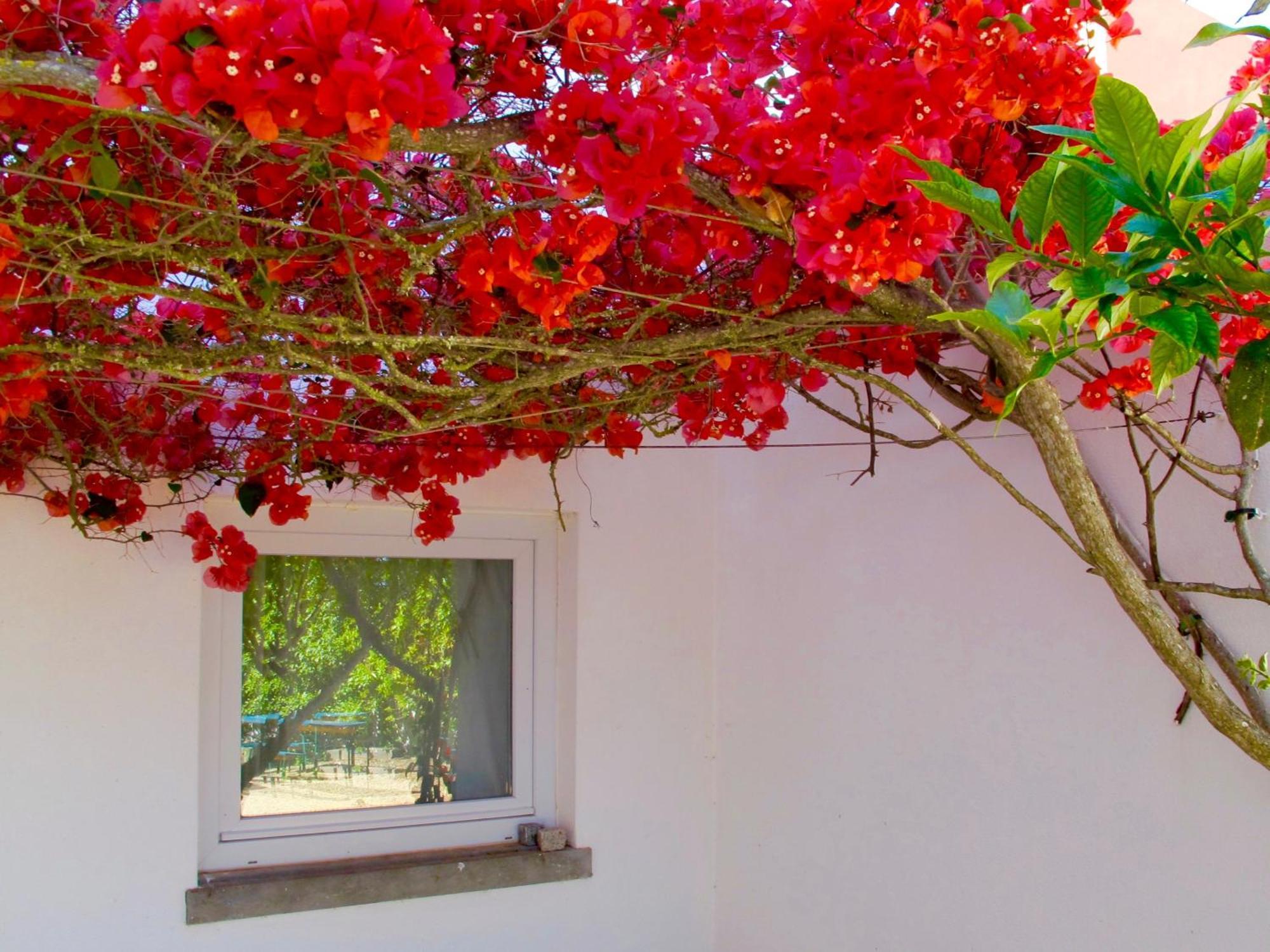 Seaya Villas Cascais Ruang foto